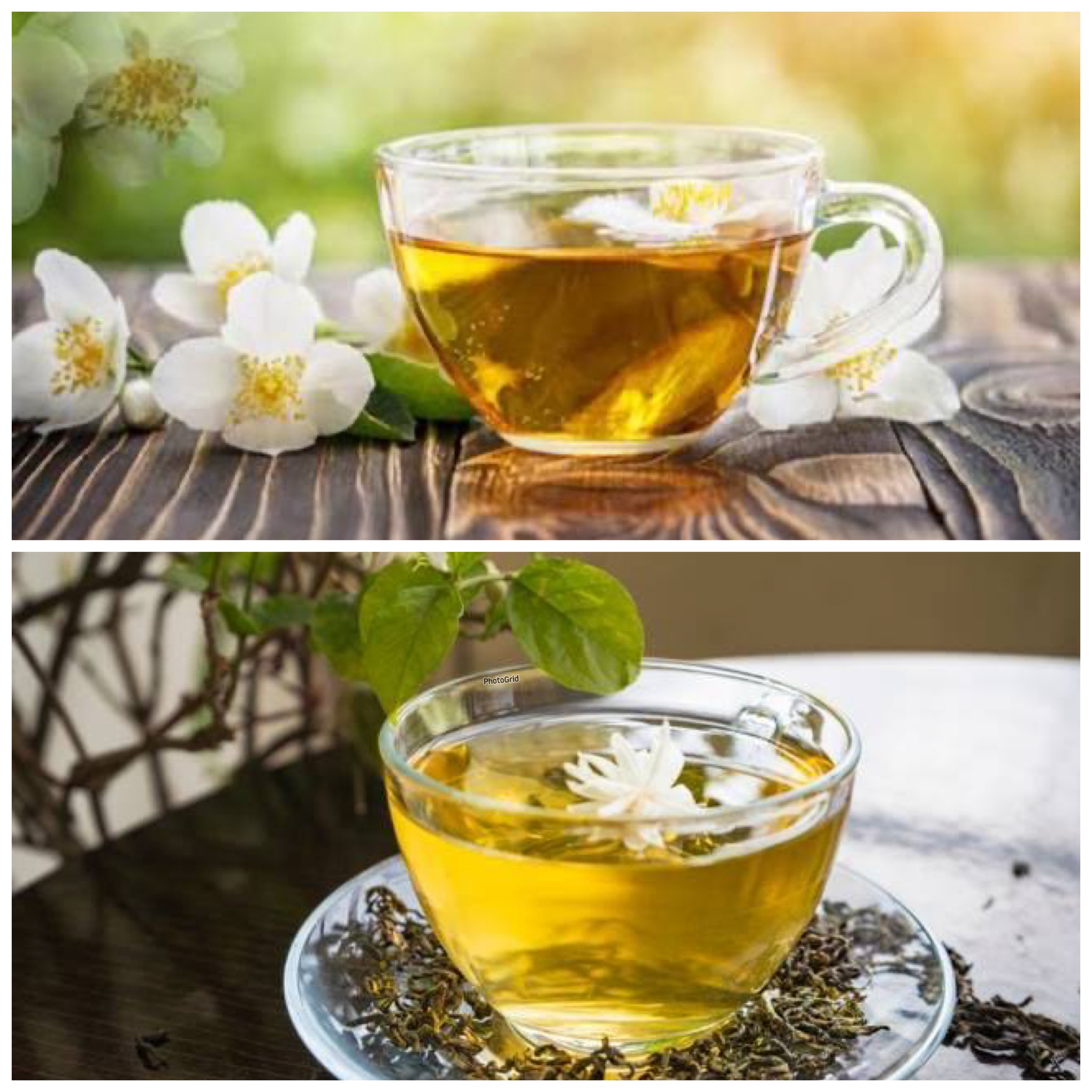 Khasiat Teh Melati untuk Kesehatan Tubuh yang Jarang Diketahui!