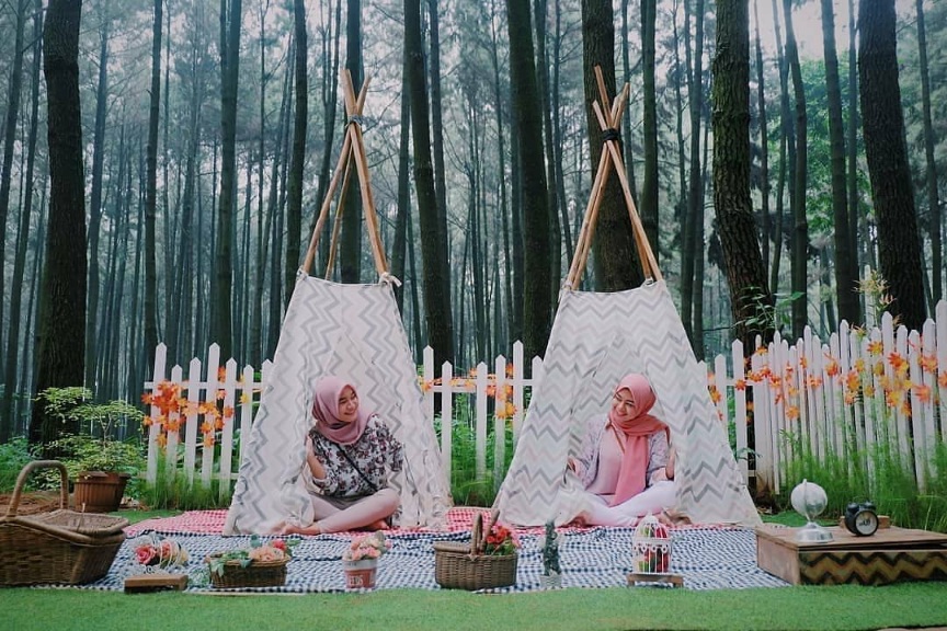 Spot Instagramble di Hutan Pinus Gunung Pancar, Nyaman Berkemah Bersama Keluarga Saat Weekend