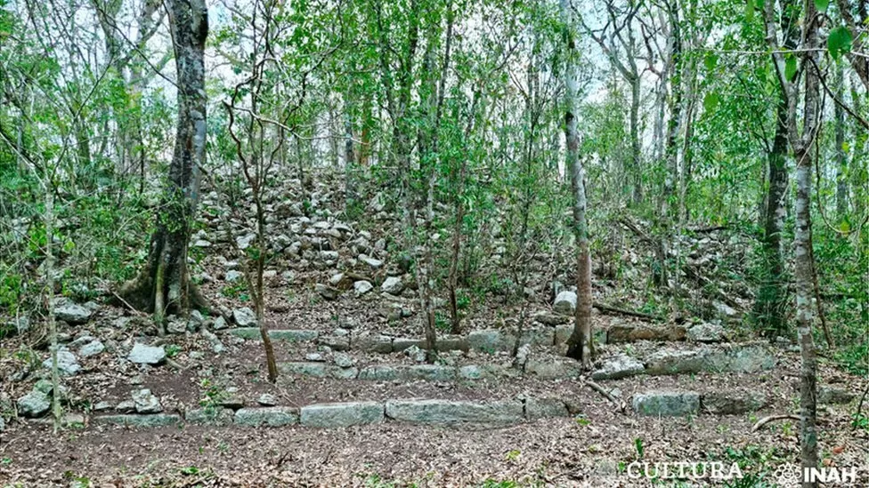 Kota Kuno Suku Maya Ditemukan di Hutan Meksiko, Begini Analisa Arkeolog