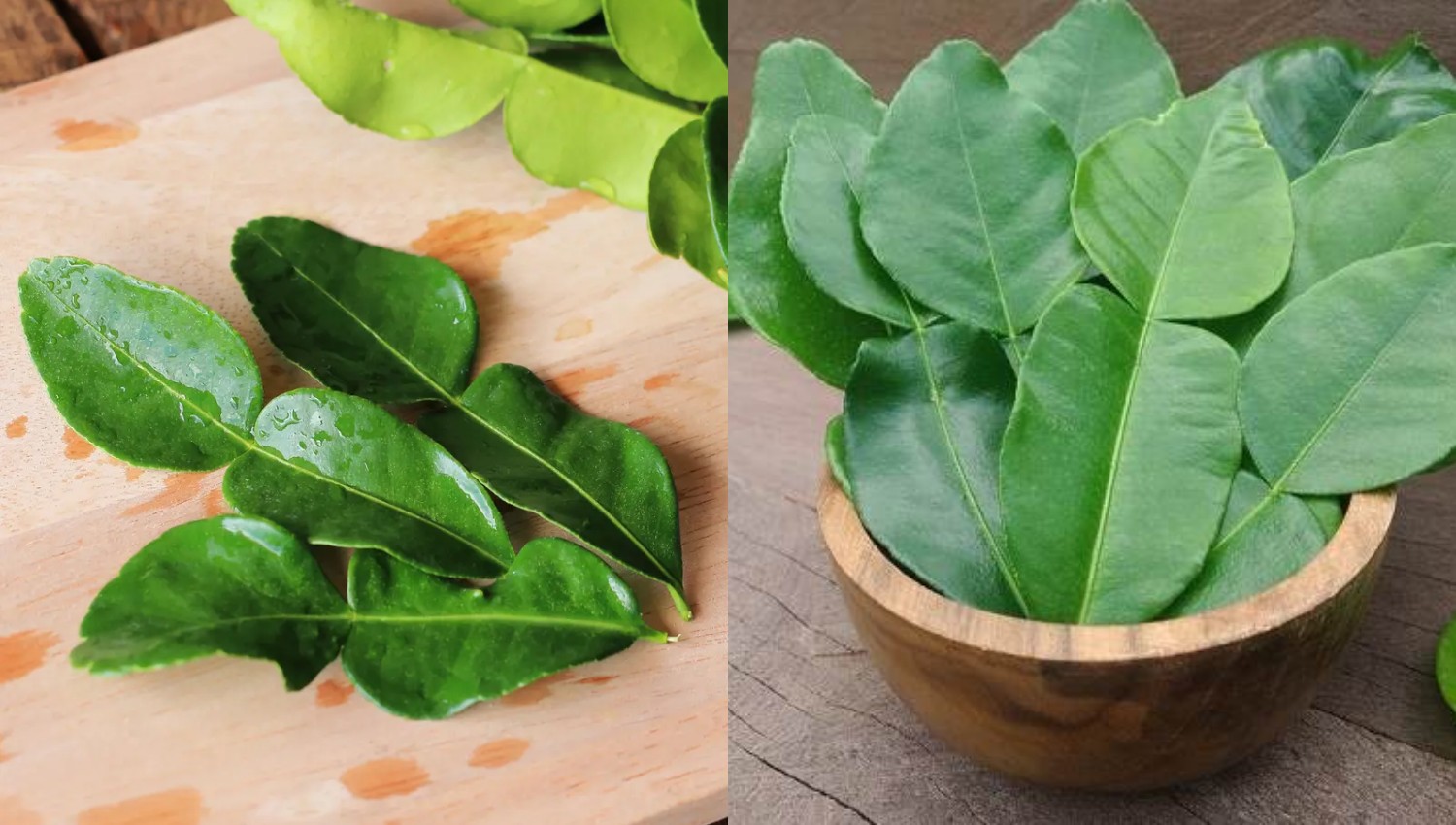 Daun Jeruk Purut Segar Lebih Lama? Begini Cara Simpan Tanpa Plastik