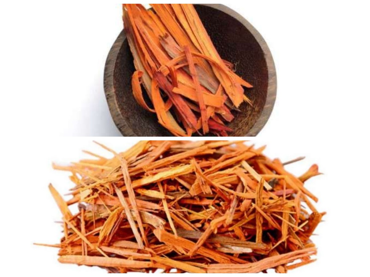 Kayu Secang dan Manfaatnya: 8 Khasiat Herbal Tradisional yang Perlu Diketahui