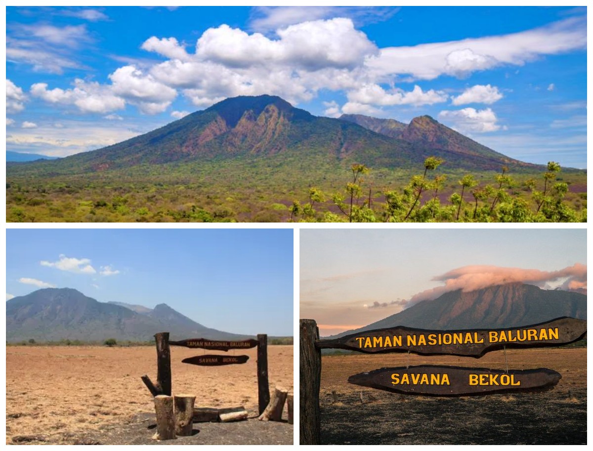 Sejarah dan Keunikan Gunung Baluran: Dari Asal Usul Geologi hingga Keindahan Taman Nasional Baluran!