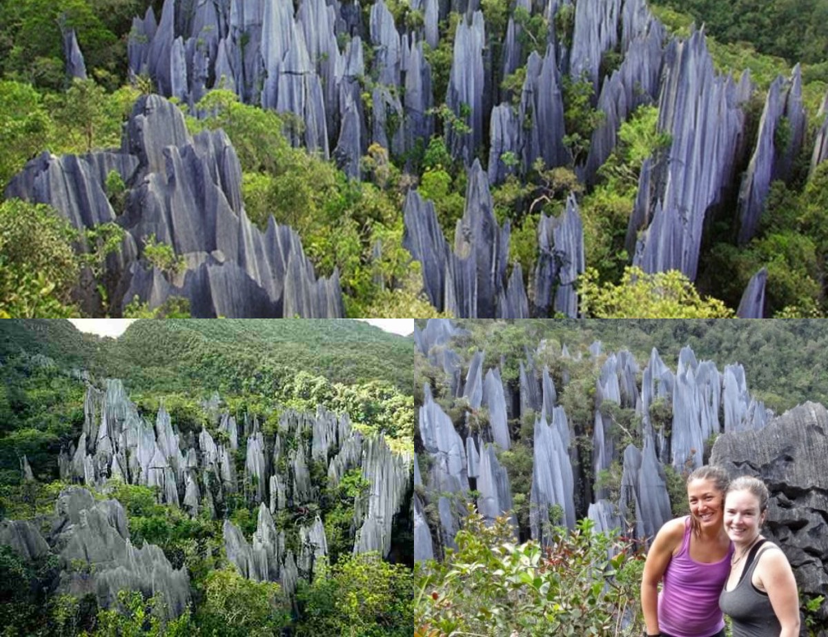 Mengungkap Sejarah Taman Nasional Gunung Mulu: Ada Keajaiban yang Tersembunyi!