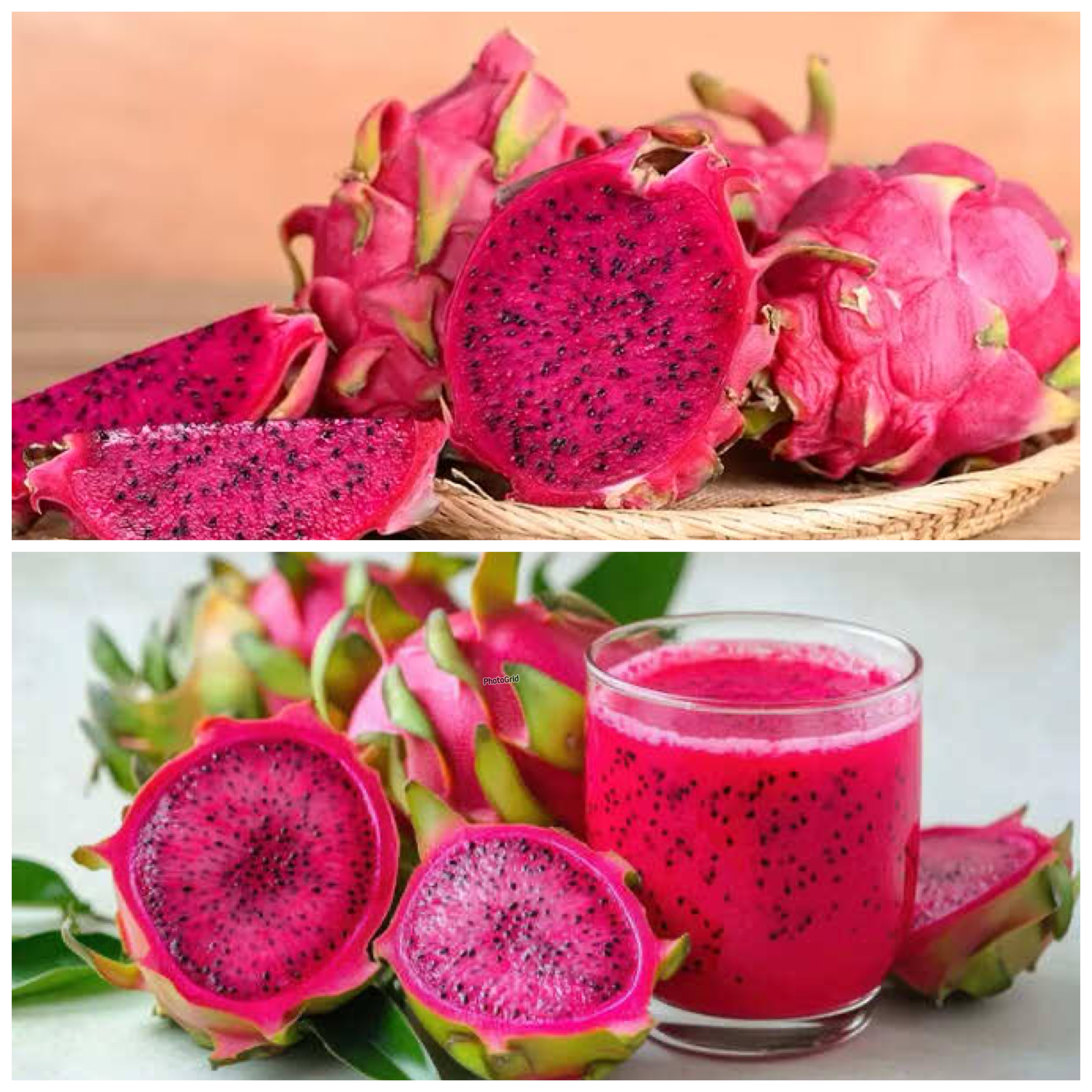  5 Alasan Penting Sarapan Buah Naga untuk Energi dan Kesehatan Harian!