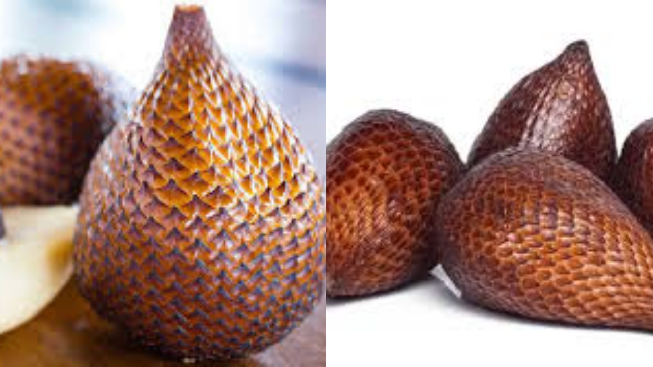 Apa Saja Sih Kandungan Vitamin Yang Terdapat Dalam Buah Salak? Yuk Simak Ini Penjelasanya