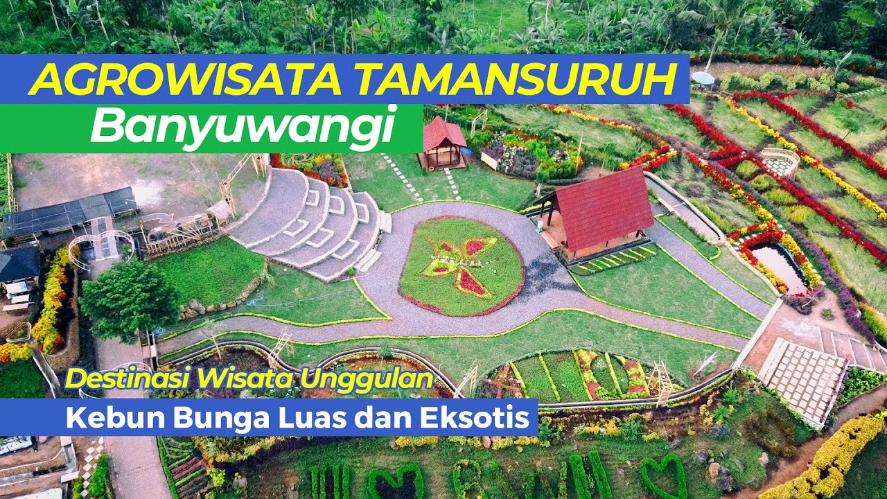 Indonesia, Inilah Lokasi Agrowisata Taman Suruh Banyuwangi, Pesona Wisata Jawa Timur, Rek