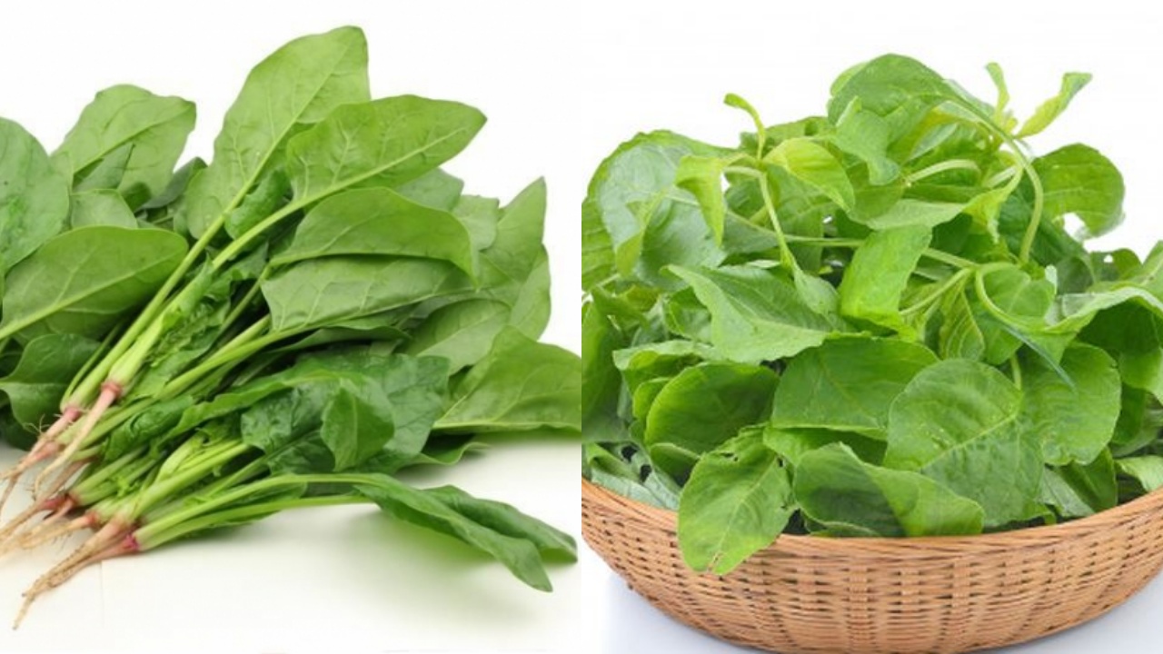 Jangan Sepelekan, Inilah 7 Manfaat Bayam untuk Ibu Hamil