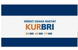 Lagi Ajukan KUR di Bank BRI,  Berikut Panduan Agar Pinjaman Bisa Cair