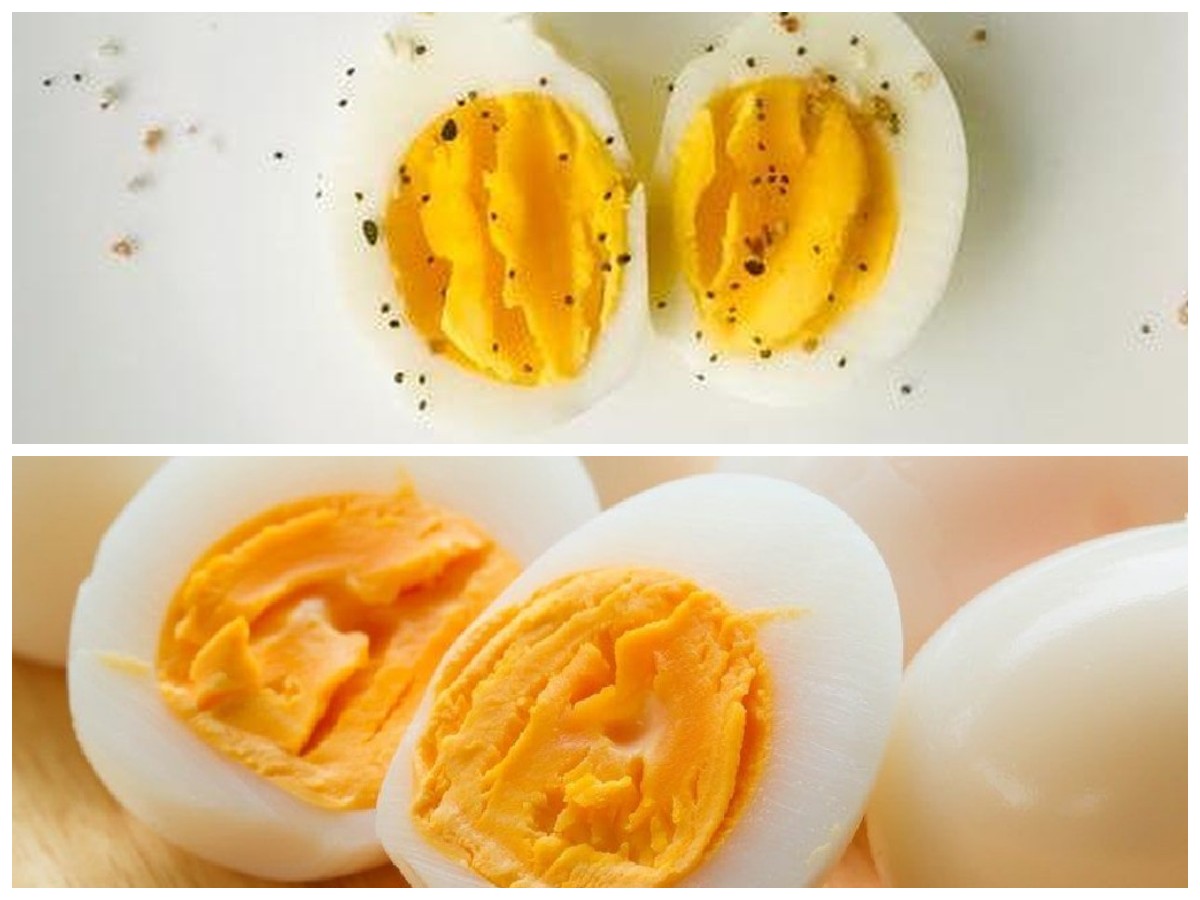 Telur Rebus dan Khasiatnya: 7 Alasan Mengapa Harus Jadi Menu Harianmu!