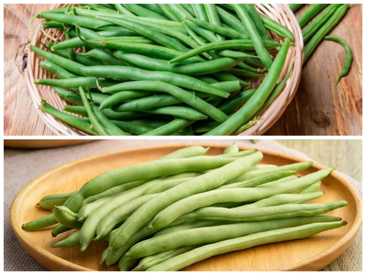 Buncis: Sayuran Sehari-hari yang Kaya Manfaat untuk Tubuh