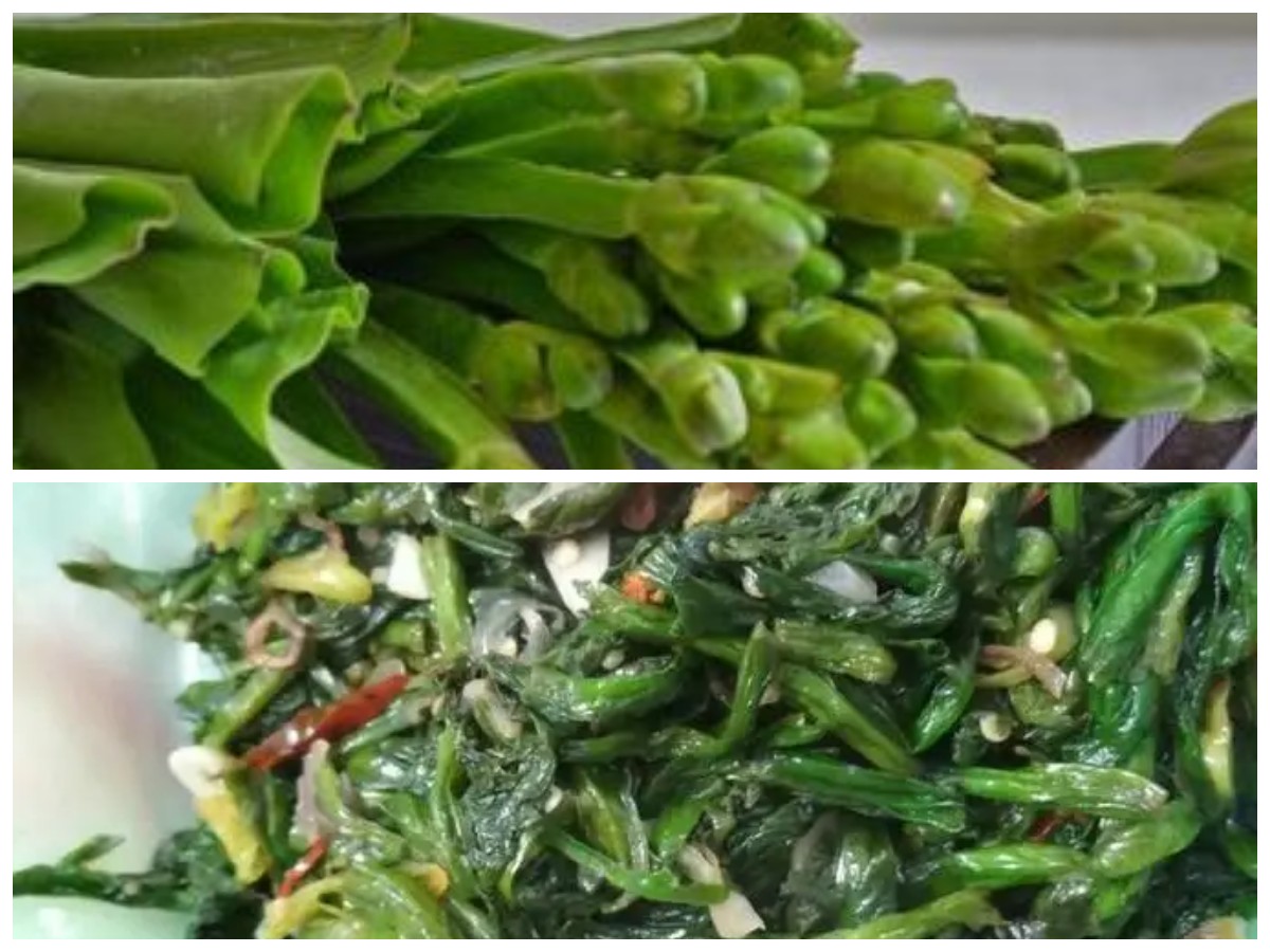 Rahasia Khasiat Genjer untuk Tubuh Sehat: 8 Manfaat yang Wajib Kamu Tahu!