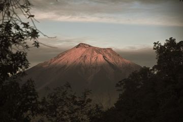 Selain Sajikan Pemandangan yang Indah, Gunung Kerinci Miliki Fauna yang Langkah!