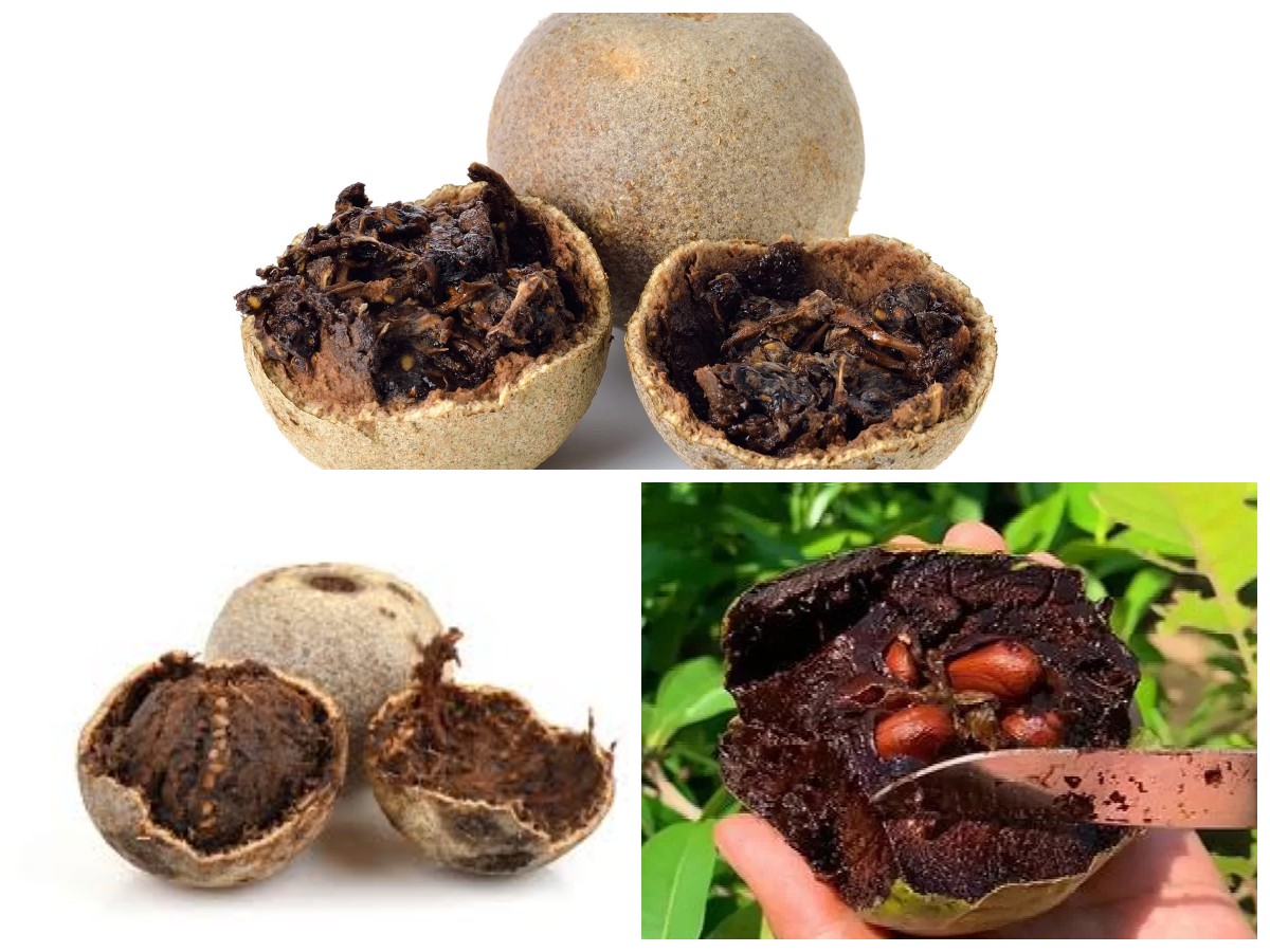 Inilah 6 Manfaat Buah Kawista untuk Kesehatan: Dari Jantung hingga Pencernaan!