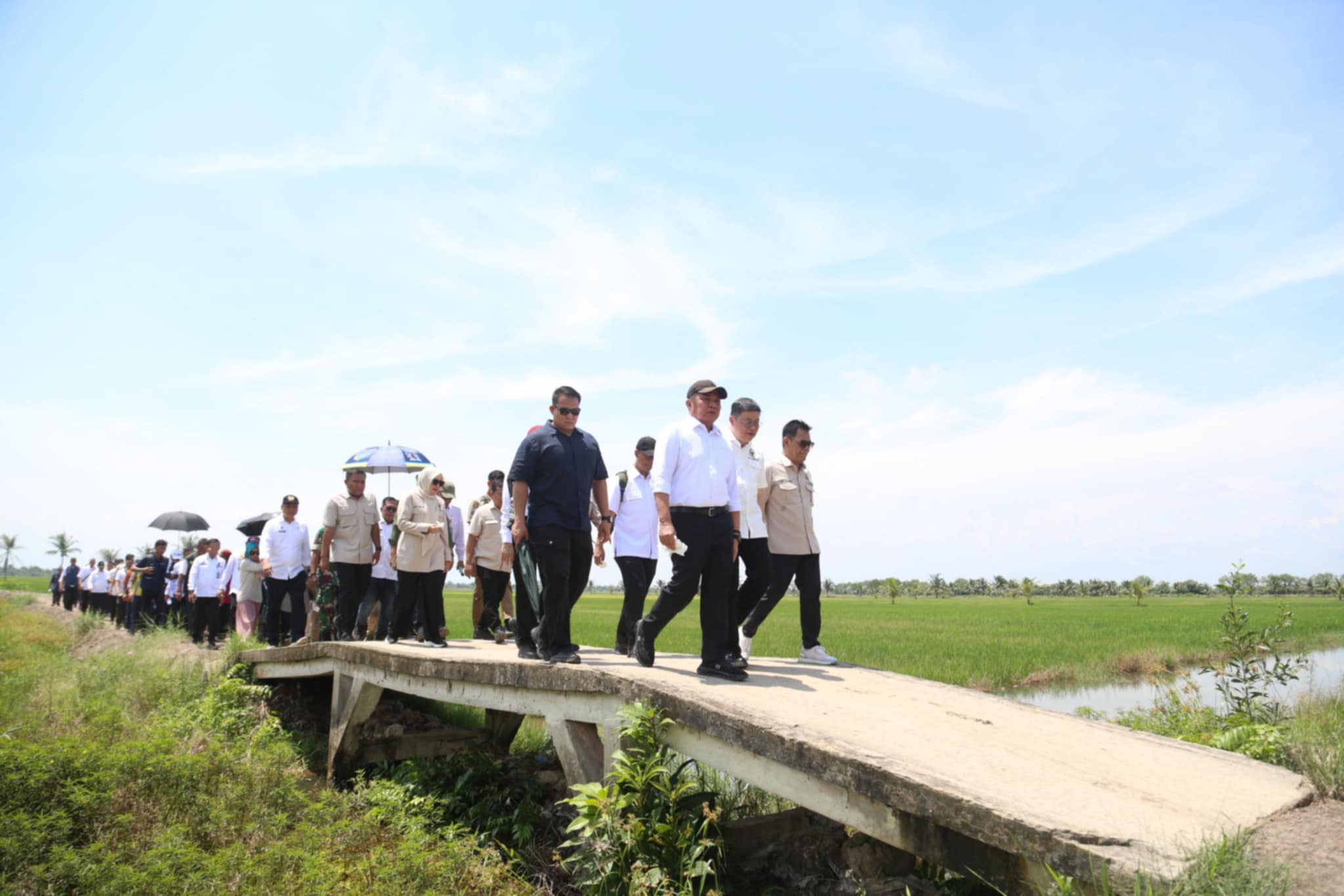 Optimis Program OPLA Dongkrak Pangan, Sumsel Naik Peringkat Tiga Nasional