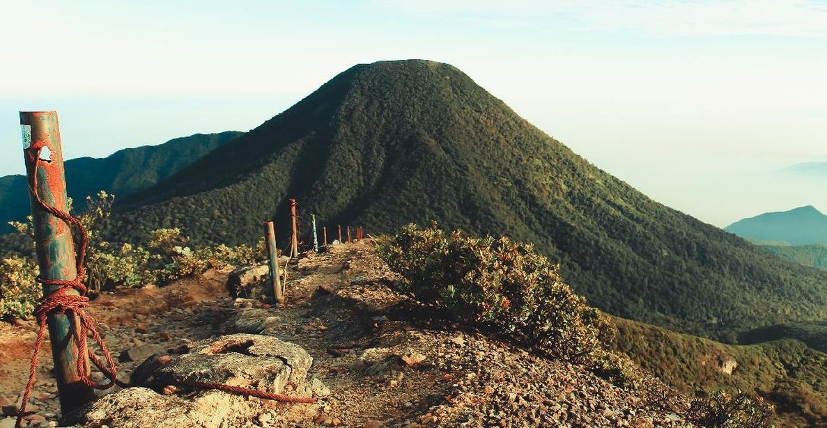 Menjadi Lokasi Penelitian Terkenal! Inilah 5 Fakta Unik Gunung Gede Pangrango