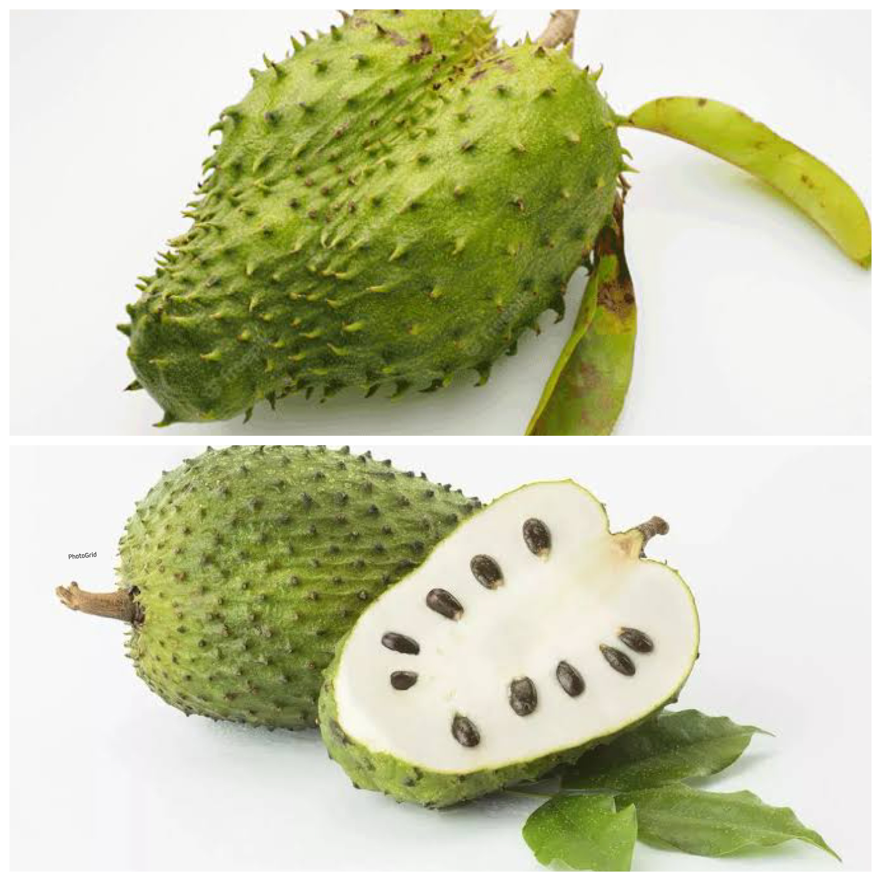 Manfaat Buah Sirsak bagi Kesehatan: Dari Meningkatkan Imunitas hingga Menangkal Kanker!