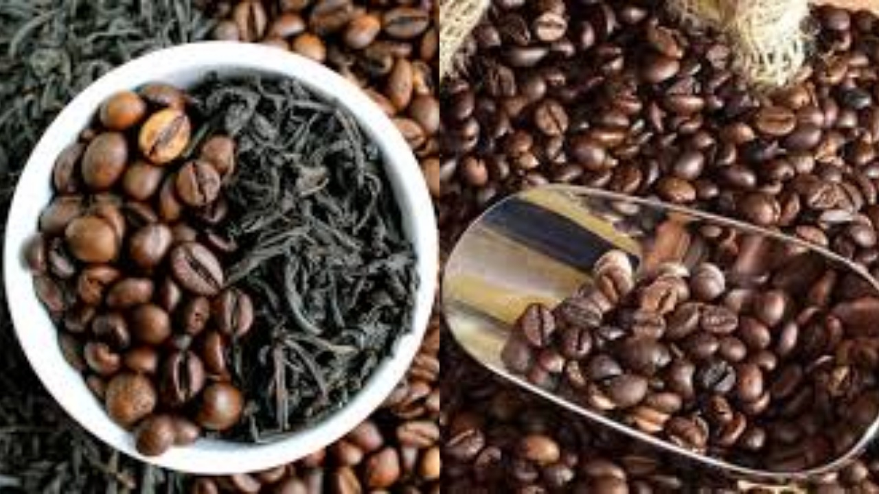 Jarang Diketahui Ini Manfaat Dari Kafein Untuk Kesehatan Tubuh Yang Luar Biasa!