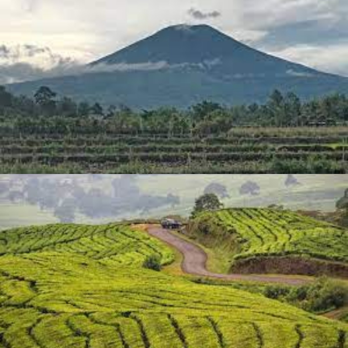 Mengulik 6 Fakta Menarik Gunung Dempo yang Bikin Kamu Takjub 