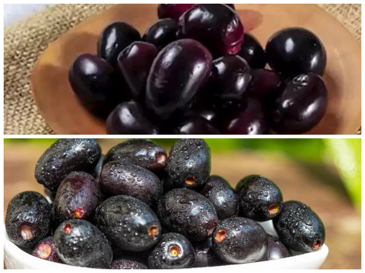 Keajaiban Buah Jamblang: 7 Manfaat Kesehatan yang Wajib Dicoba