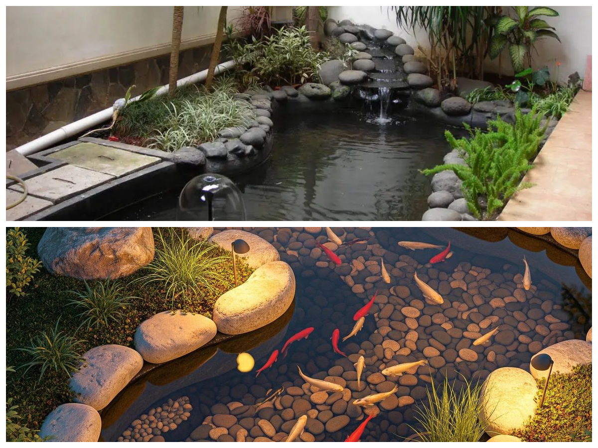Kolam Ikan Minimalis, Cara Simpel Hadirkan Nuansa Segar di Rumah
