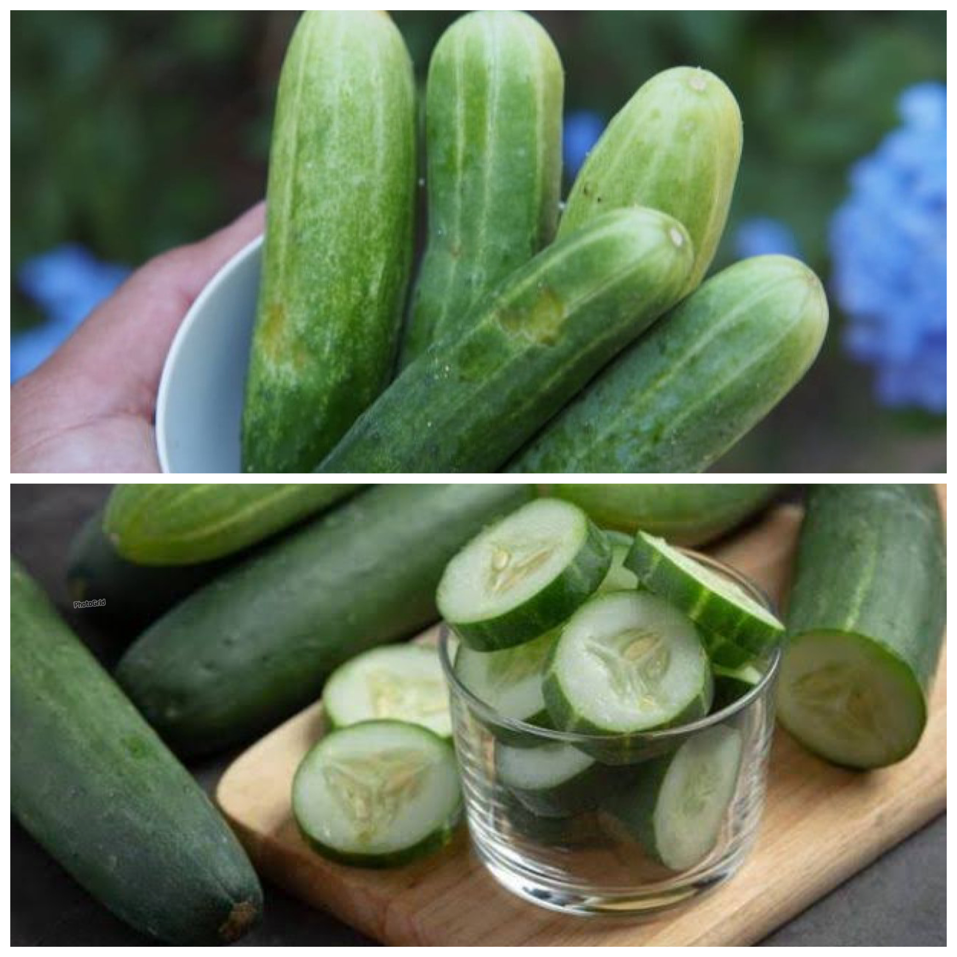 Manfaat Timun untuk Diet: Rahasia Sederhana Turunkan Berat Badan Secara Alami!