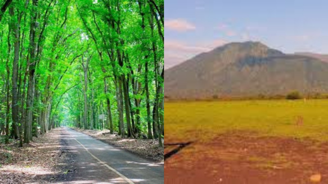  Inilah Tempat Wisata di Jawa Timur yang Terkenal dengan Keindahan Alamnya, Wajib Kalian Kunjungi!