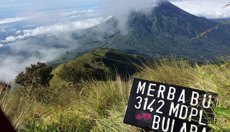 Rugi Banget Kalau Kamu Nggak Ke Gunung Merbabu, Kenapa? Cek Yuk!