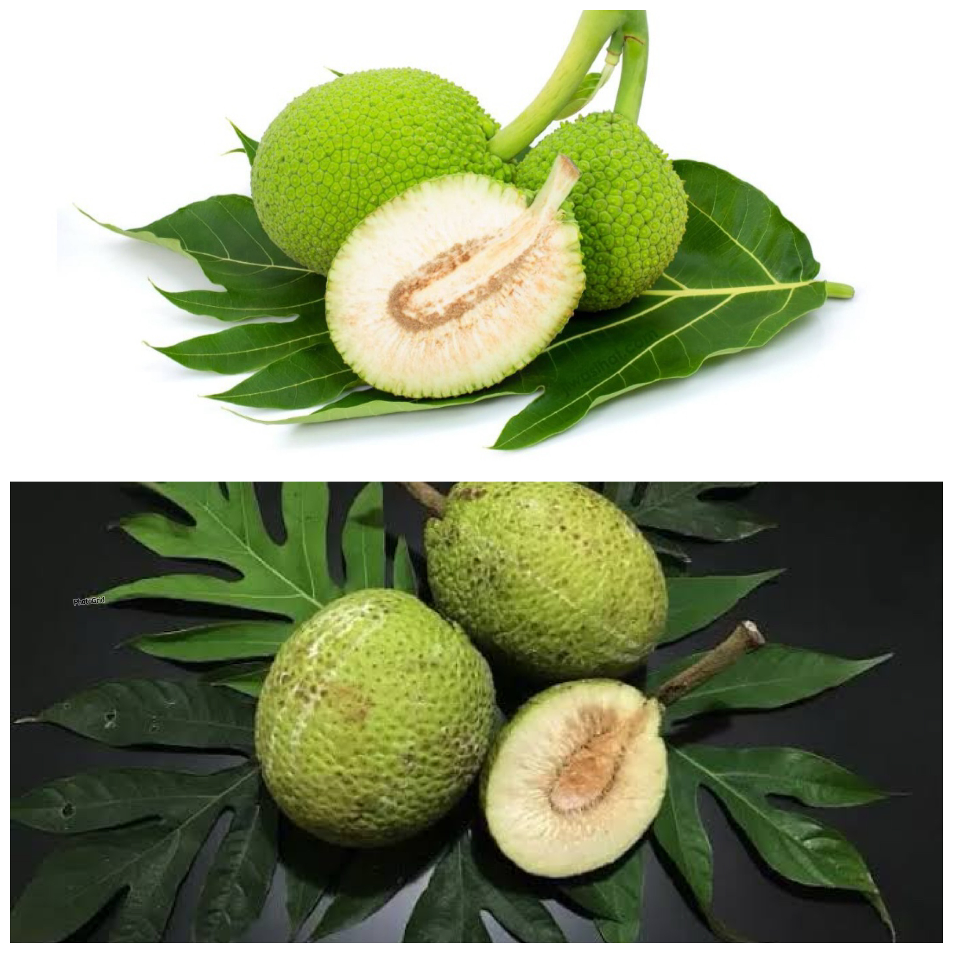 Rahasia Sehat dari Buah Sukun: Kaya Serat dan Baik untuk Jantung!