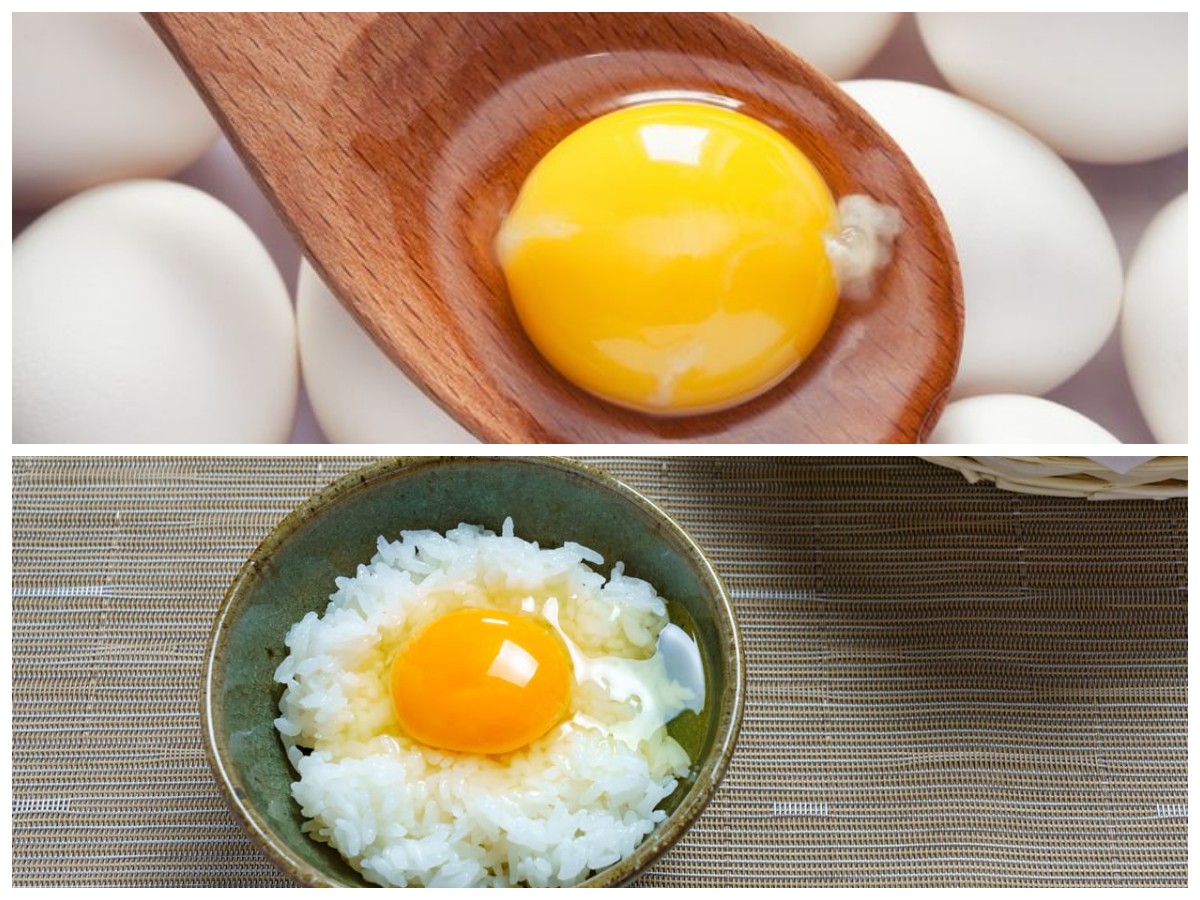 Rahasia Sehat dari Telur Ayam Kampung: Kandungan dan Manfaatnya yang Menakjubkan