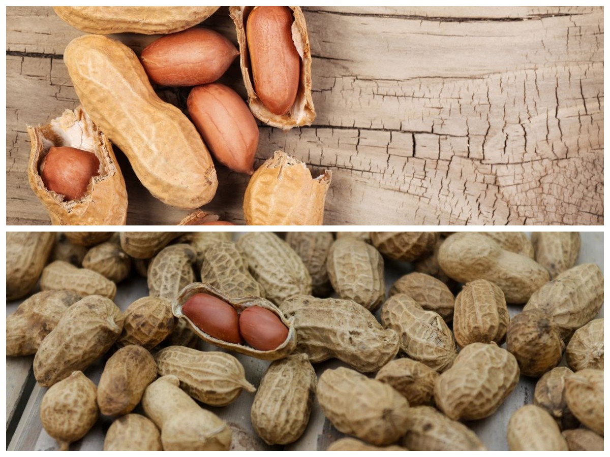  Khasiat Kacang: 8 Alasan Mengapa Kacang Baik untuk Kesehatan Tubuh