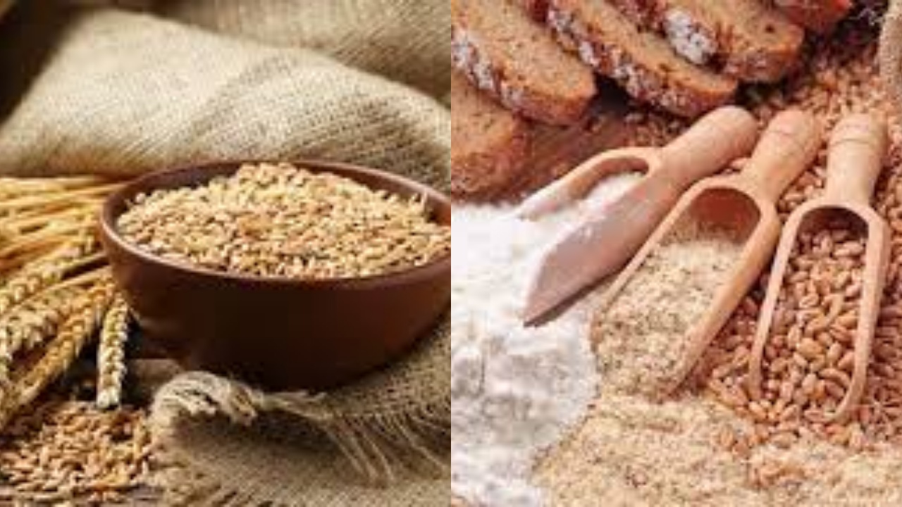 Gandum Utuh: Kandungan Nutrisi dan Manfaatnya Yang Harus Kalian Ketahui