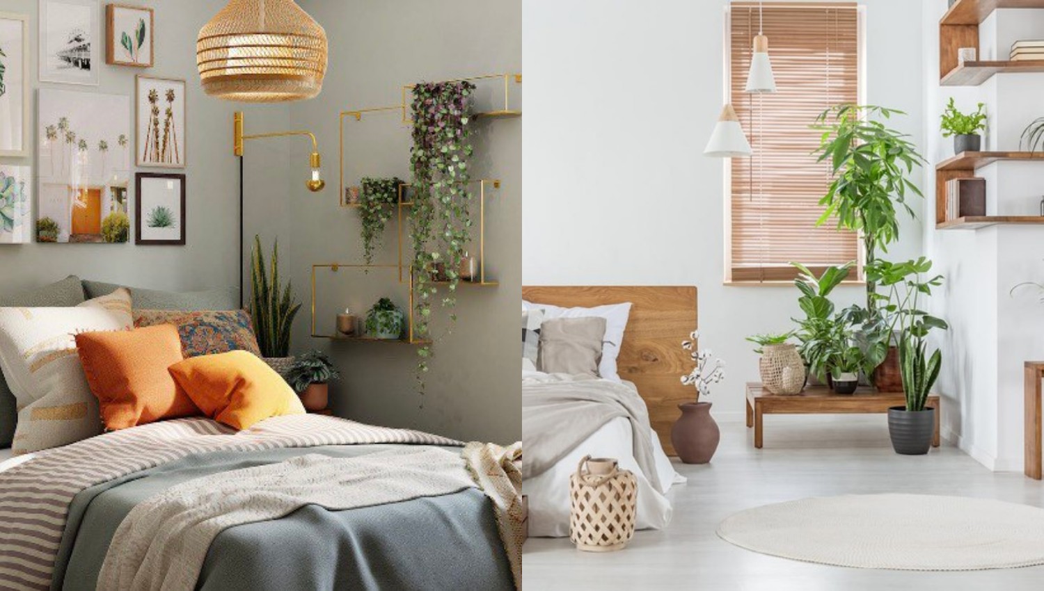 Tanaman Ideal untuk Kamar Tidur, Menyehatkan dan Mempercantik Ruangan