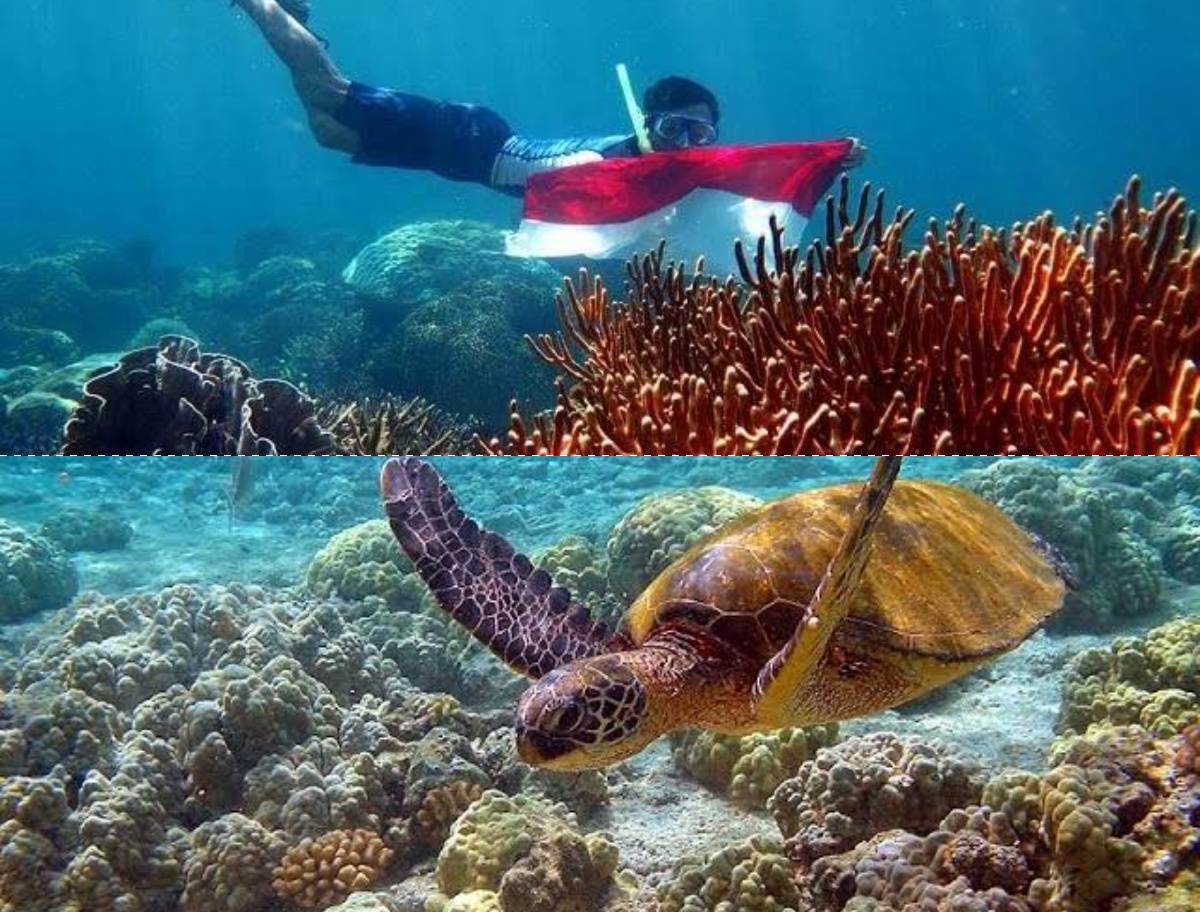 Keajaiban Bawah Laut Kalimantan Selatan: 6 Tempat Snorkeling yang Wajib Dikunjungi