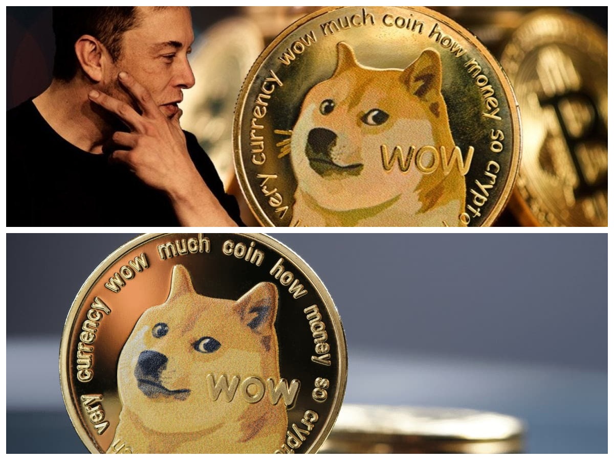 Penutupan DogeChain Mengguncang Pasar: Pengguna Diminta Menarik Dogecoin (DOGE) Secara Cepat