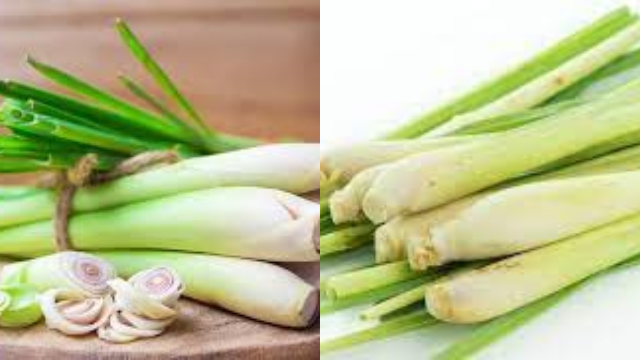 8 Manfaat Serai untuk Kesehatan dan Efek Sampingnya Bagi Tubuh