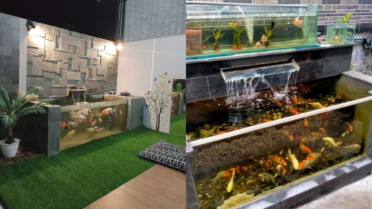 Ide Teras Rumah dengan Akuarium, Sentuhan Alami untuk Ketenangan dan Keindahan!