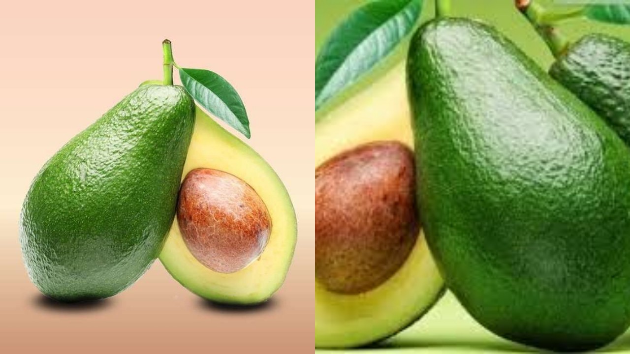 Inilah Manfaat Alpukat untuk Kesehatan, Yang Wajib Kalian Pelajari!