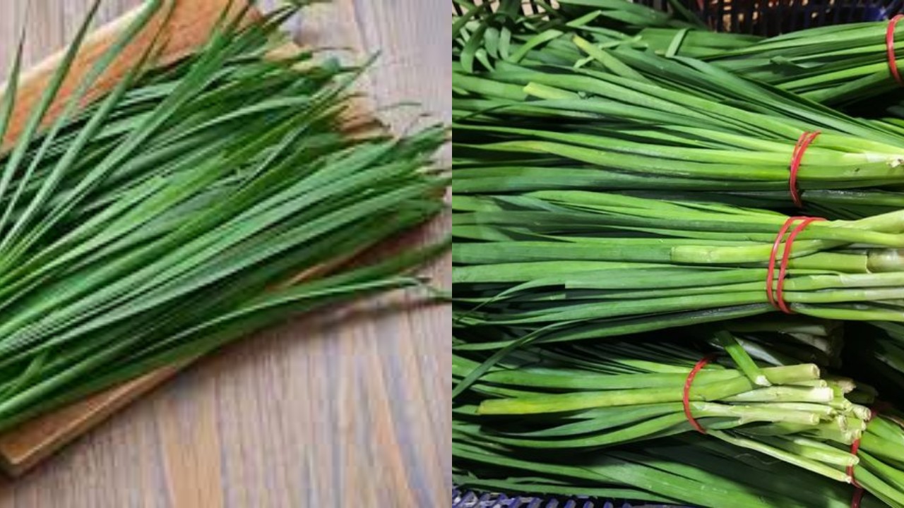 Daun Kucai, Bumbu Dapur yang Punya Segudang Manfaat Kesehatan!