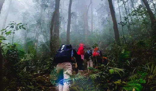 Dari Legenda ke Kenyataan: Sejarah Gunung Tanggamus, Lampung