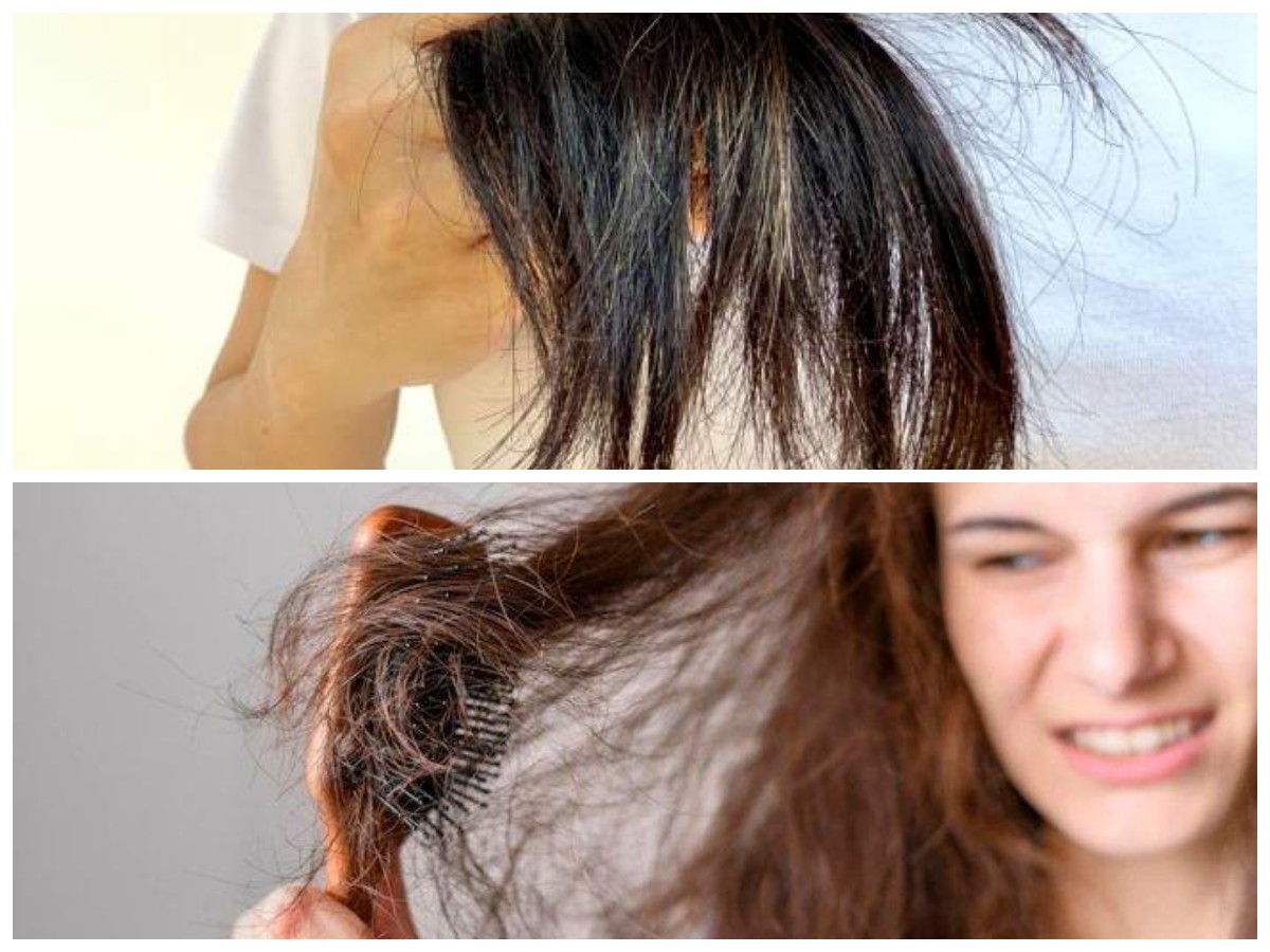 Cara Ampuh Mengatasi Rambut Kering dan Mengembang dengan Bahan Alami di Rumah!