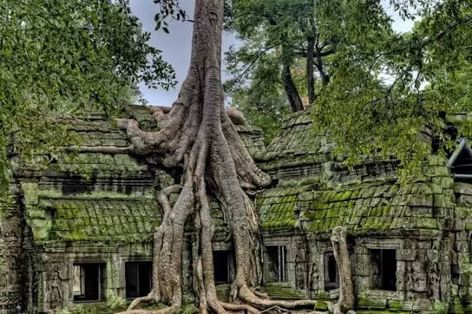 Wow!Sosok Ini yang Menemukan Istana Dalam Hutan Jati Lamongan yang Merupakan Kerajaan Kahuripan Raja Airlangga