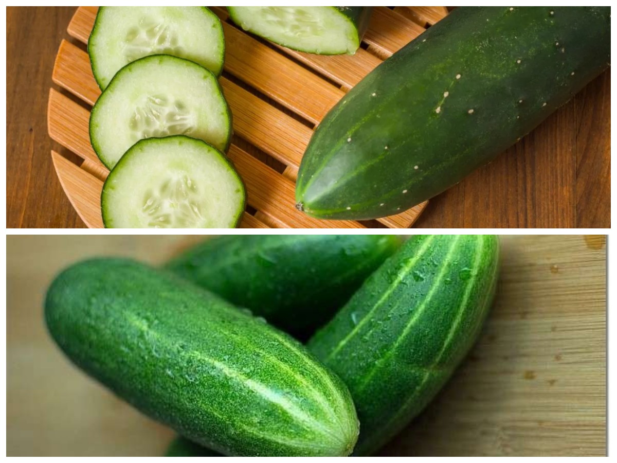 Bukan Sekadar Pelengkap Makanan, Ini Manfaat Hebat Timun yang Wajib Kamu Tahu!