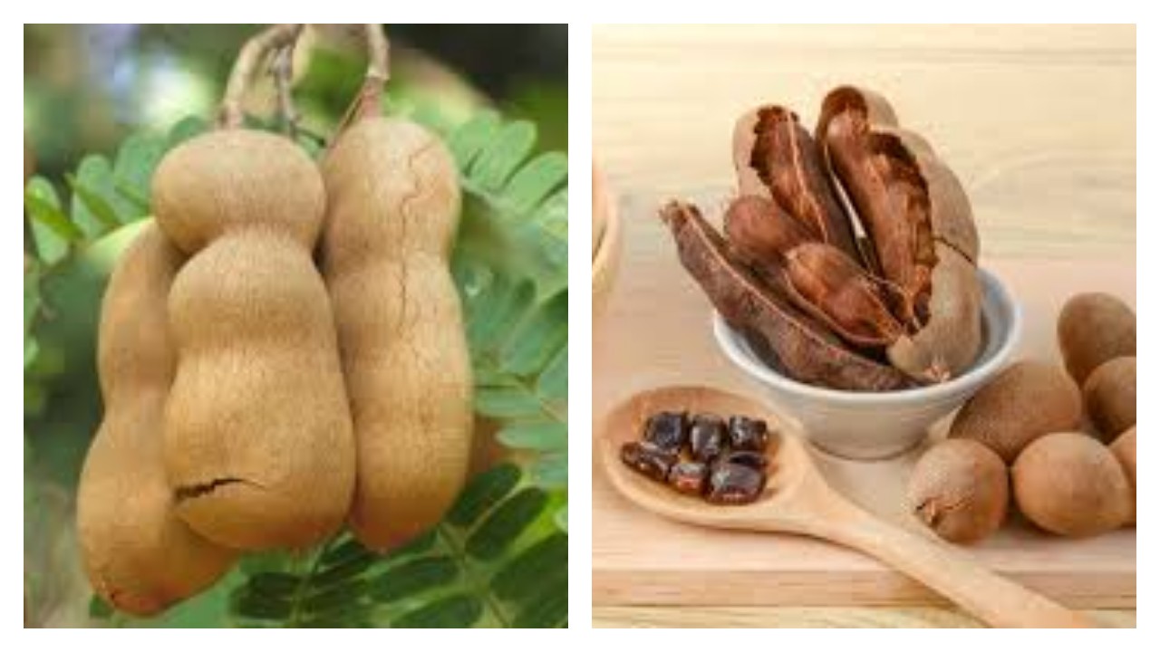 4 Manfaat Asam Jawa yang Tak Seasam Rasanya