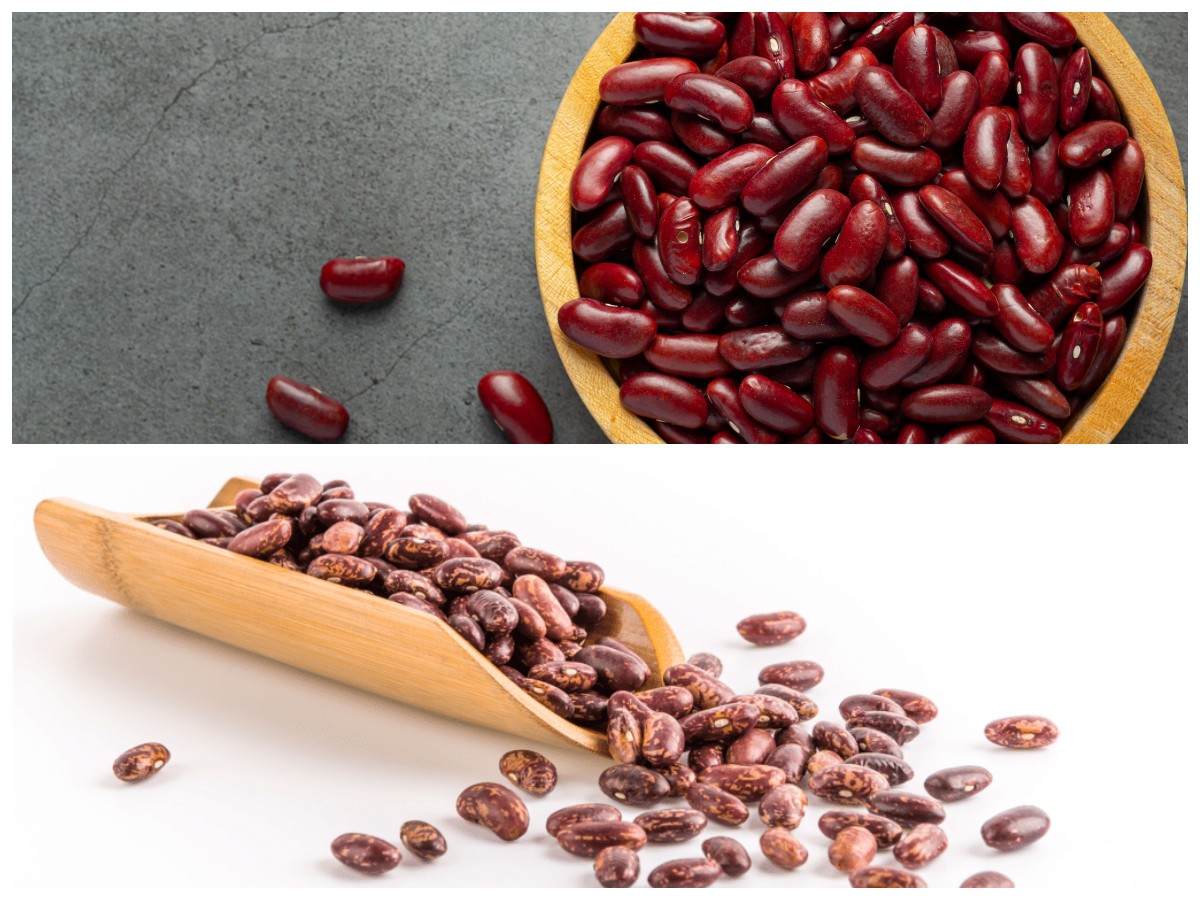 Rahasia Sehat dari Kacang Merah: Kaya Nutrisi untuk Jantung, Pencernaan, dan Energi Tubuh