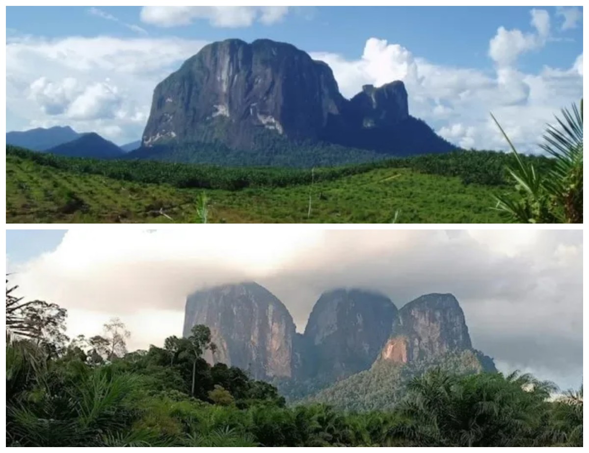 Menaklukkan Keindahan Gunung Batu Jamak: Petualangan dan Tantangan Pendakian di Kalimantan