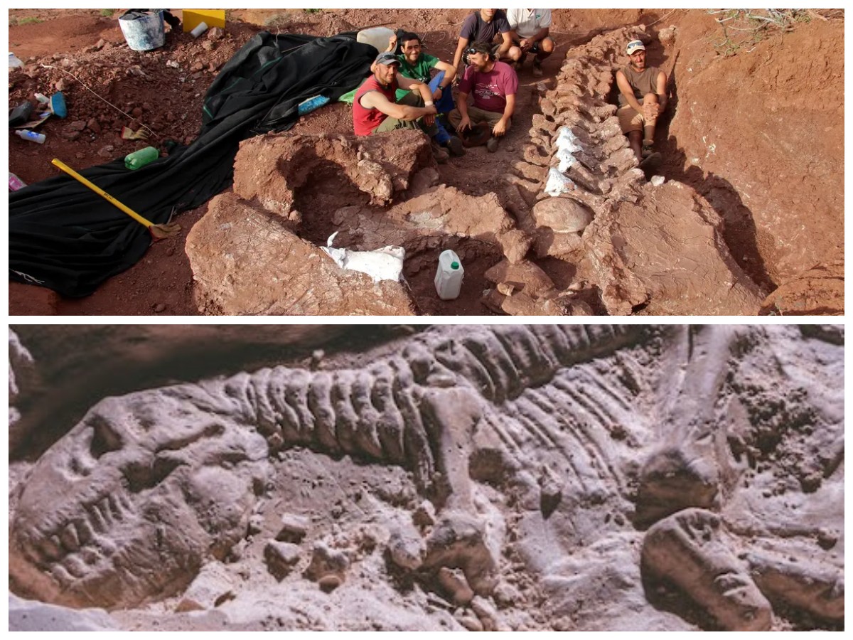 Fosil Misterius Argentina: Mengungkap Kehidupan Dinosaurus Sebelum Kepunahan Massal