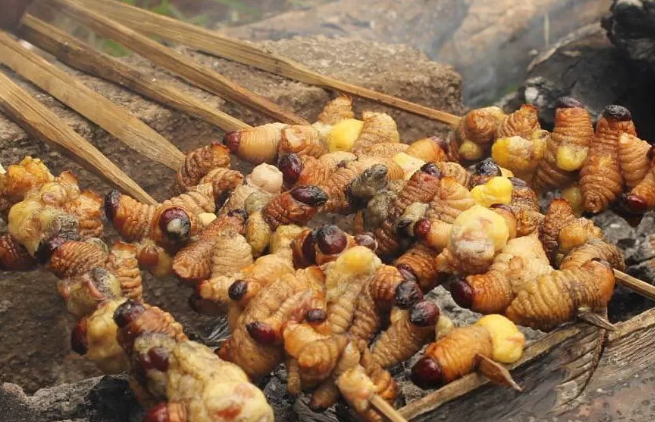 Udah Cobain Belum? Ini Dia 5 Makanan Khas Papua Yang Enak dan Unik