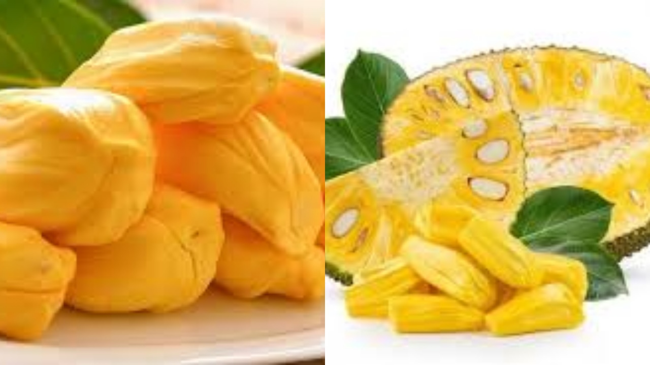  Inilah 10 Manfaat Buah Nangka Untuk Kesehatan Yang Perlu Diketahui!