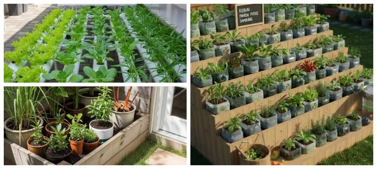 Hemat Ruang, Panen Melimpah: 9 Ide Kebun Sayur Rumah yang Tidak Merubah Fungsi Halaman