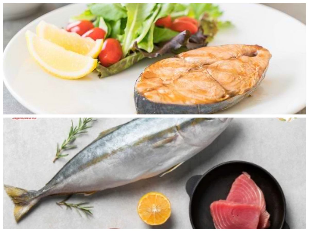 Ikan Tenggiri, Lezat dan Bergizi: 7 Manfaatnya yang Sayang untuk Dilewatkan!